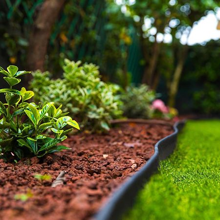 Urban Cottage Free Parking - Private Garden Bologna Ngoại thất bức ảnh